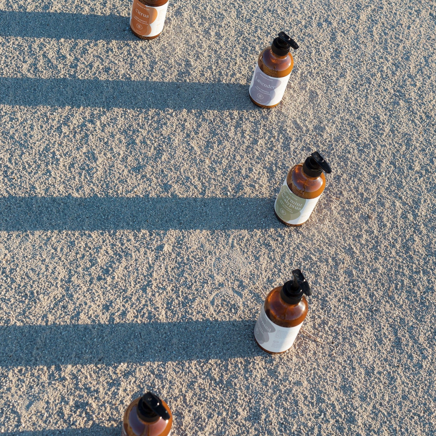 Cinnamon Clove Lotion