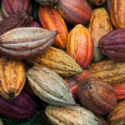 Cacao | The Sacred Heart Opener
